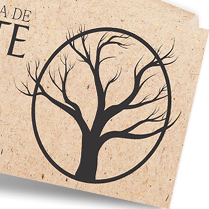 Cartes de Visita